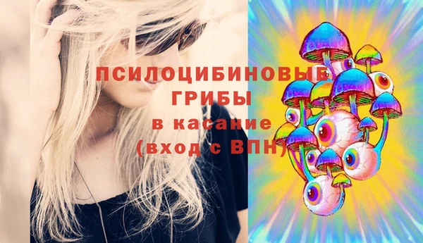 амф Зеленокумск