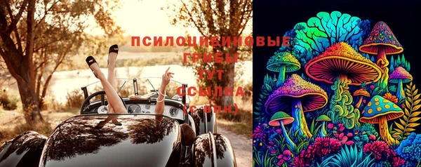 стаф Зеленодольск