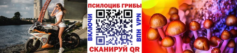 мориарти формула  Щёлково  Галлюциногенные грибы ЛСД 