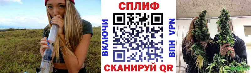 где купить наркотик  Щёлково  Бошки Шишки Amnesia 